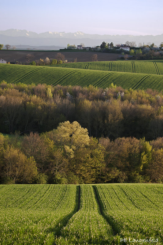 Fallow the way to the mountains